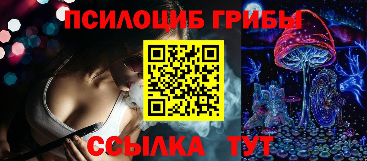 Дивногорск  Псилоцибиновые грибы мицелий  Вход с VPN  Псилоцибиновые грибы Psilocybine cubensis 