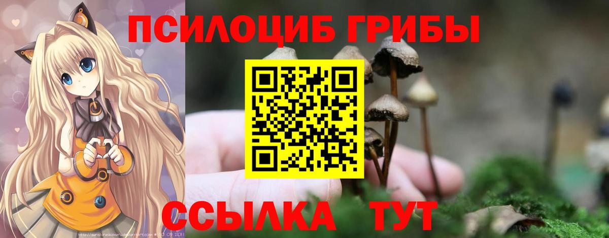 Галлюциногенные грибы мицелий Дивногорск